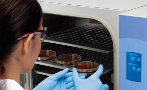 微生物無(wú)菌實(shí)驗(yàn)室