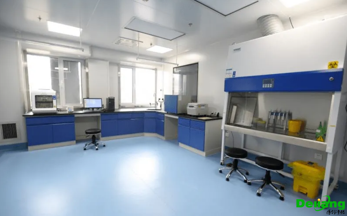 PCR實(shí)驗(yàn)室建設(shè)