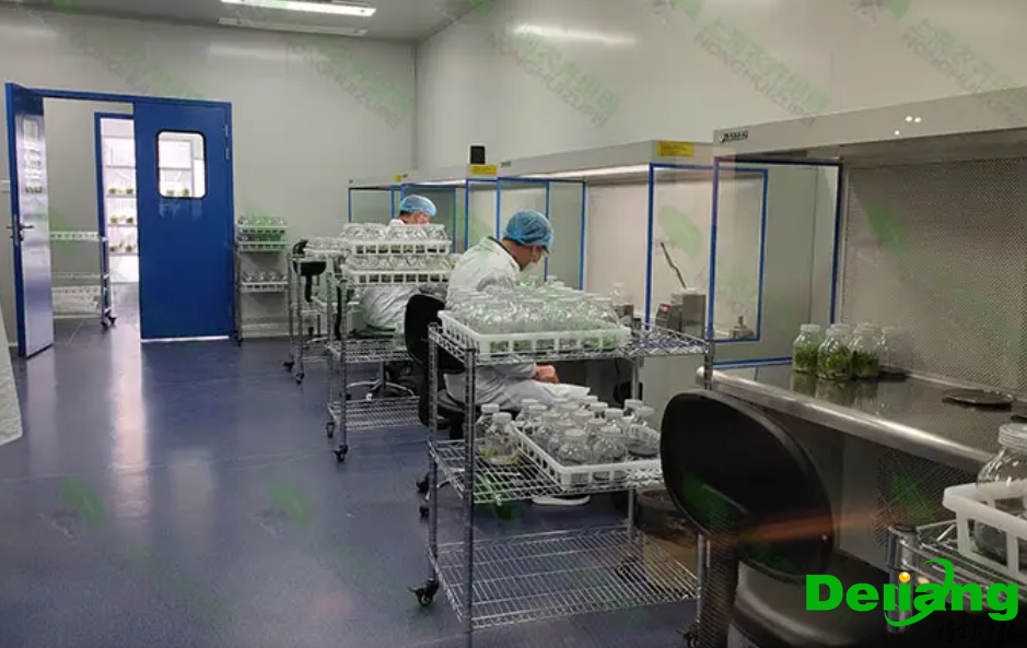 植物培養(yǎng)實(shí)驗(yàn)室設(shè)計(jì)要求