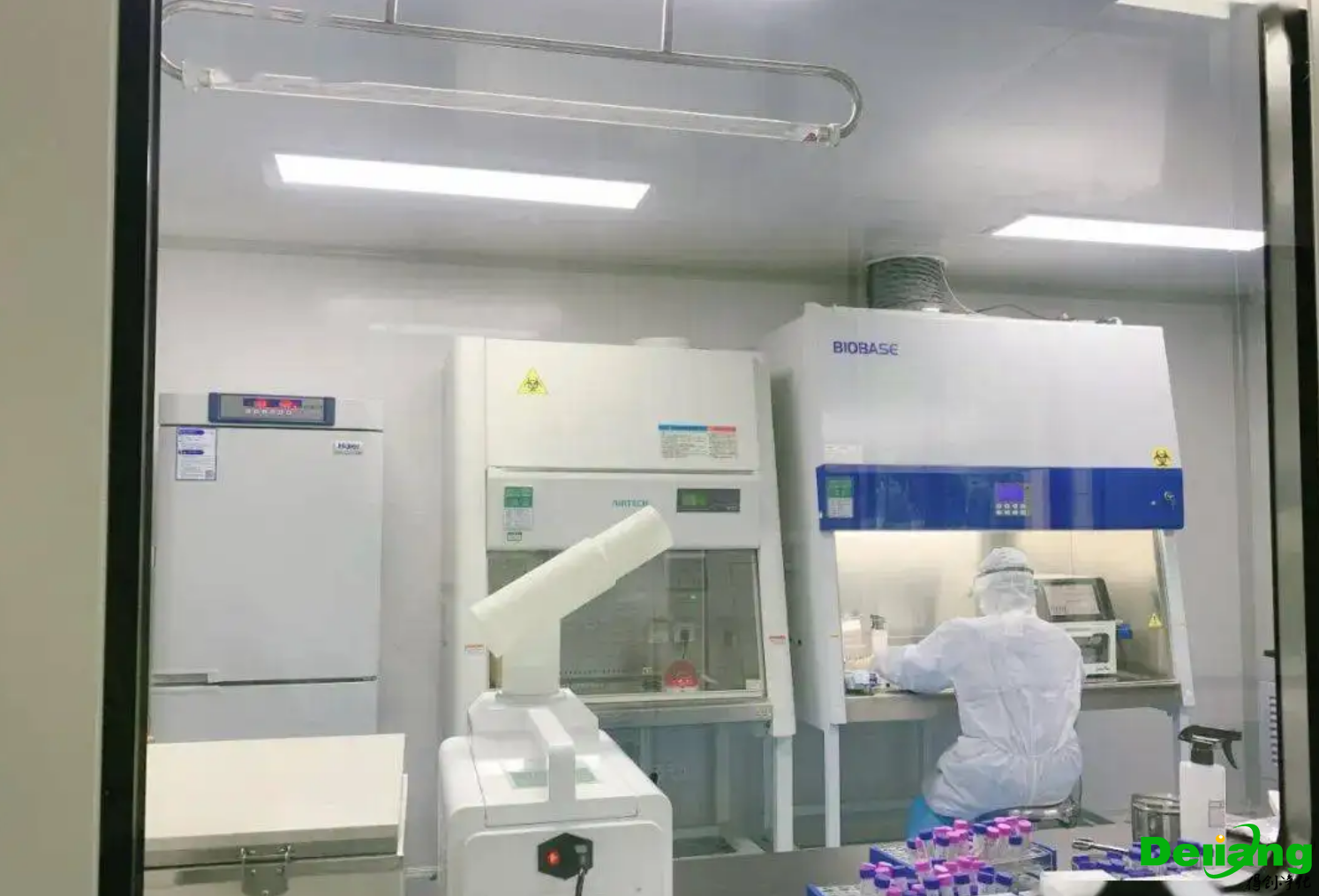 動物實驗室效果圖