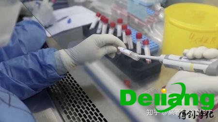 pcr實驗室擴增區(qū)