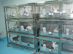 SPF動物實驗室施工要點