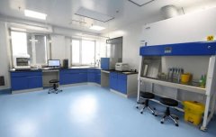 移動PCR實驗室施工流程