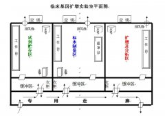 實驗室建設(shè)布局,建設(shè)問題