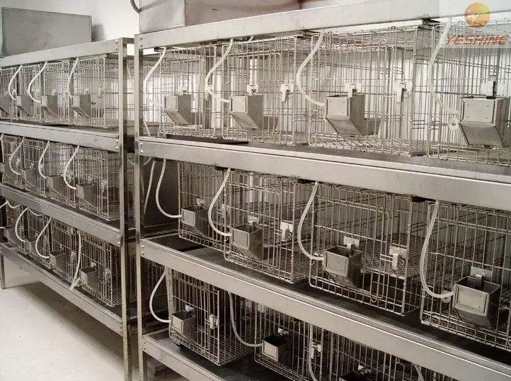 動(dòng)物實(shí)驗(yàn)室效果圖